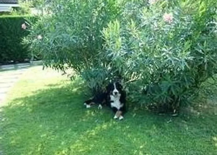 P-21 By Interhome Lazise